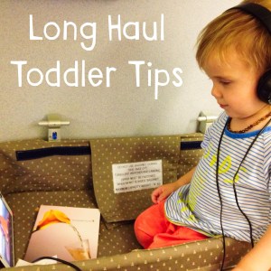Long Haul with Toddler.JPG