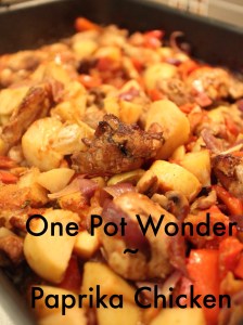 one pot wonder paprika chicken.JPG