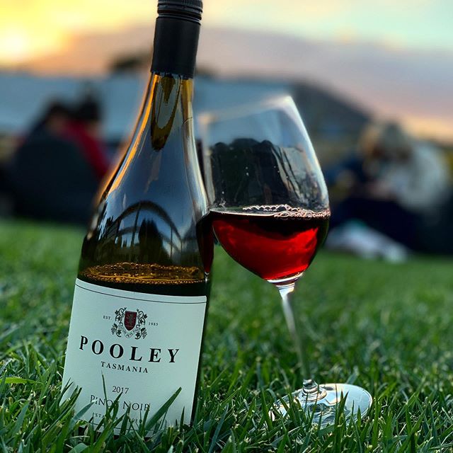 60250165_126177918579603_3408441162793432166_n